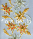 Bead Embroidery