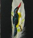 Feather Painting